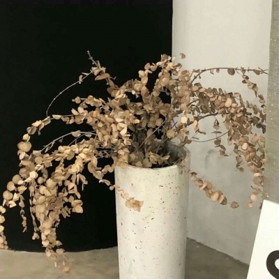 兽设配色实用搭配指南福瑞交流群